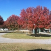 Photo of RV Park/Campground