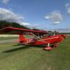 Aircraft for Sale: 1977 Bellanca 7ECA Citabria