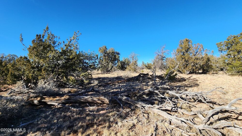 Photo of Mobile Home Lot