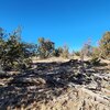Photo of Mobile Home Lot