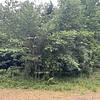 Mobile Home Lot for Sale: More Rural Setting in Growing Area! Nice Lot with No Credit Check!, Woodruff, SC