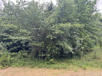 Thumbnail of mobile home lot