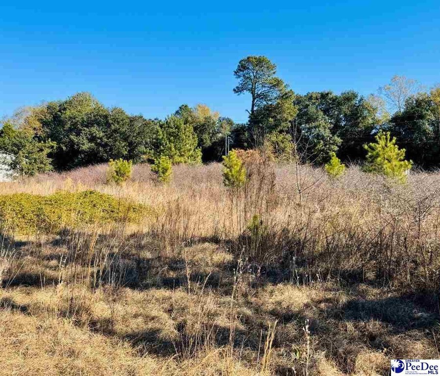 Photo of Mobile Home Lot