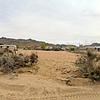 Mobile Home for Sale: 1977 Mobile Home
