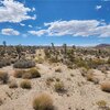 Photo of Mobile Home Lot