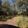 Photo of Mobile Home Lot
