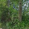 Mobile Home for Sale: 3 Bed 1 Bath 1983 Mobile Home