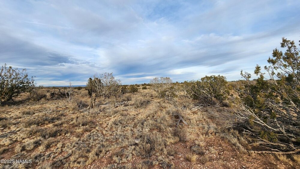 Photo of Mobile Home Lot