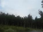 Photo of Mobile Home Lot