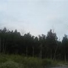 Mobile Home Lot for Sale: 10.98 acre Lot