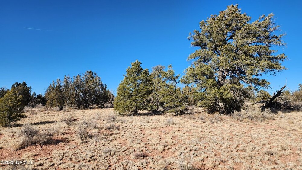 Photo of Mobile Home Lot