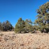Photo of Mobile Home Lot