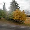 Mobile Home for Sale: 2 Bed 1 Bath 1961 Mobile Home