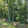 Photo of Mobile Home Lot