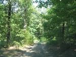 Photo of Mobile Home Lot