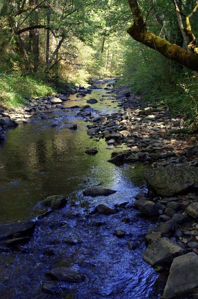 Webber Creek on Camp Nauvoo
