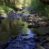 RV Park for Sale: Camp Nauvoo, Placerville, CA