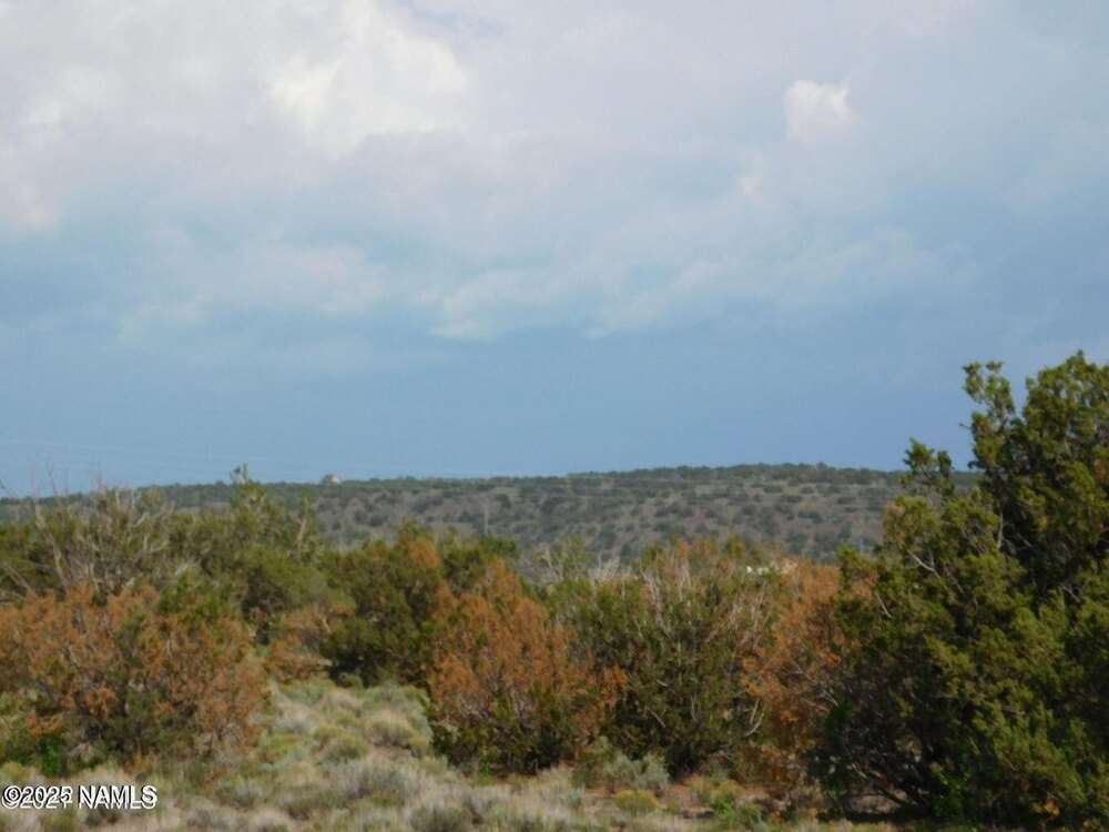 Photo of Mobile Home Lot
