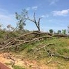 Photo of Mobile Home Lot