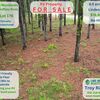 RV Lot for Sale: 6.5 Private Acres on a TN Dead-End Road – Ideal Home or RV Site! , Linden, TN