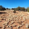 Photo of Mobile Home Lot