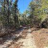 Mobile Home for Sale: 4 Bed 2 Bath 2000 Mobile Home