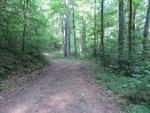 Photo of Mobile Home Lot