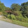 Mobile Home for Sale: 3 Bed 2 Bath 1997 Mobile Home