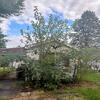 Mobile Home for Sale: 2 Bed 1 Bath 1976 Mobile Home
