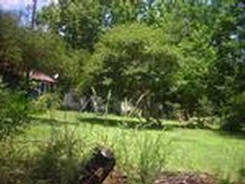 Photo of Mobile Home Lot