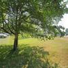 Mobile Home for Sale: 3 Bed 2 Bath 1996 Mobile Home