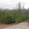 Photo of Mobile Home Lot