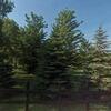 Mobile Home for Sale: Mobile Home