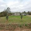 Mobile Home for Sale: 2014 Mobile Home