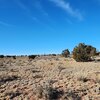 Photo of Mobile Home Lot