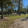 RV Park for Sale: RV Park Somewhere East Texas, , TX