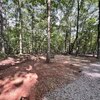 Mobile Home for Sale: Manufactured On Land, Traditional - Louisburg, NC, Louisburg, NC