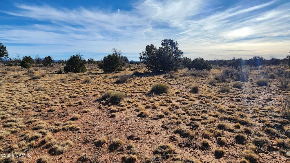 Photo of Mobile Home Lot