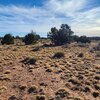 Photo of Mobile Home Lot