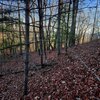 Photo of Mobile Home Lot
