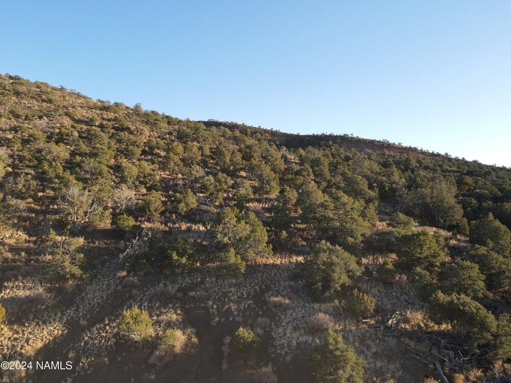 Photo of Mobile Home Lot