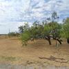 Mobile Home for Sale: 3 Bed 2 Bath 1987 Mobile Home