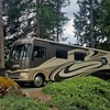 RV for Sale: 2007 Terra Lx 34N