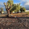 Mobile Home Lot for Sale: Manufactured Home - Bullhead City, AZ, Bullhead City, AZ