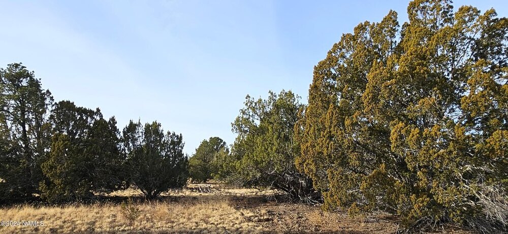 Photo of Mobile Home Lot