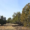 Photo of Mobile Home Lot