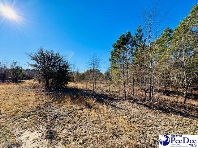 Photo of Mobile Home Lot