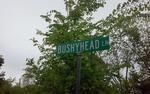 Photo of Mobile Home Lot