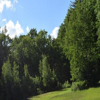 Thumbnail of RV park
