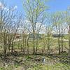 Mobile Home for Sale: 2022 Mobile Home